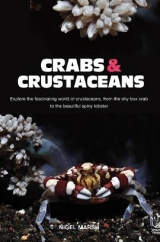 Cover of Crabs and Crustaceans