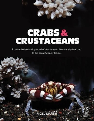 Book cover for Crabs and Crustaceans