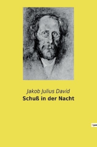 Cover of Schuß in der Nacht