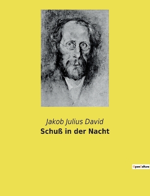 Book cover for Schuß in der Nacht