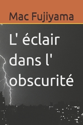 Cover of L' éclair dans l' obscurité