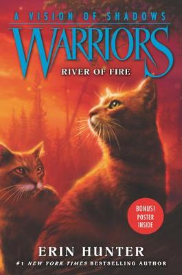 Book cover for River of Fire