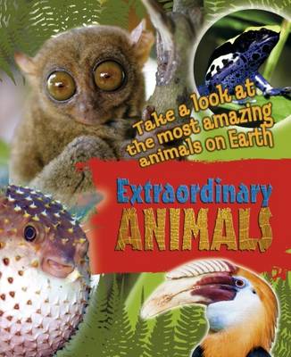 Book cover for Extraordinary Animals