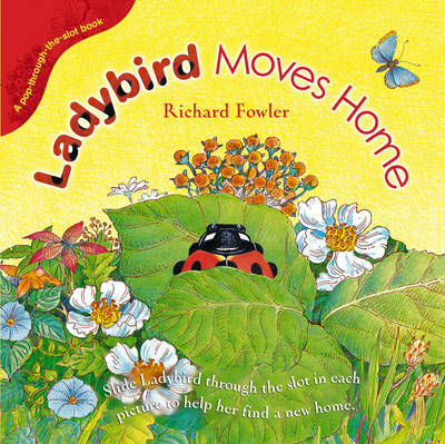 Book cover for Ladybird Moves Home