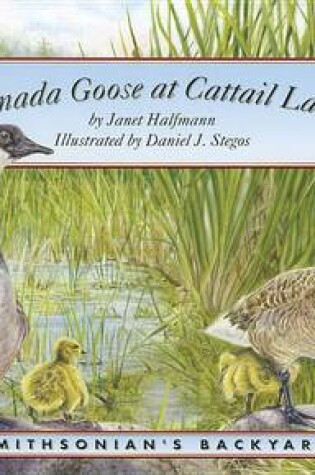 Cover of Canada Goose at Cattail Lane