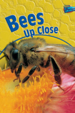 Cover of Bees Up-close