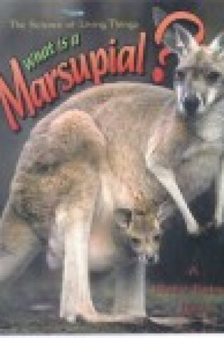 Cover of What Is a Marsupial?