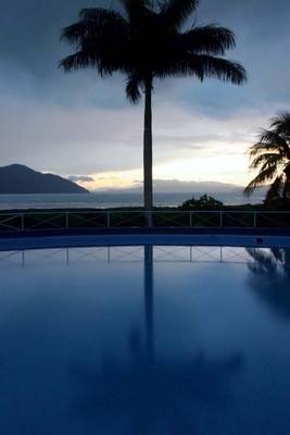 Book cover for Coconut Tree by the Pool at Lake Yoyoa Honduras Journal