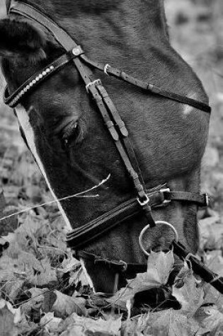 Cover of A Horse Munching in the Meadow in Black and White Journal