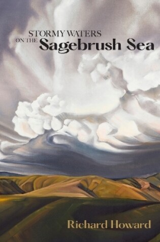 Cover of Stormy Waters on the Sagebrush Sea - Second Edition