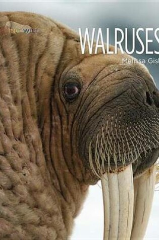 Cover of Walruses