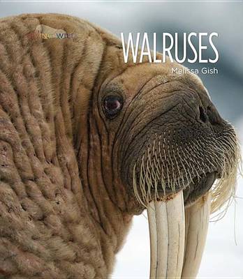 Cover of Walruses