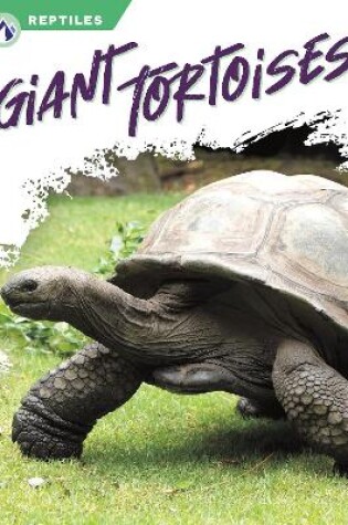 Cover of Giant Tortoises