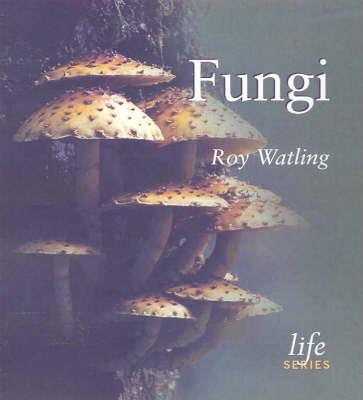 Book cover for Fungi