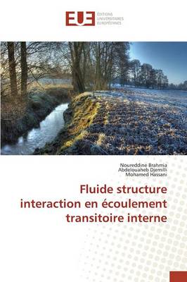 Book cover for Fluide Structure Interaction En Ecoulement Transitoire Interne