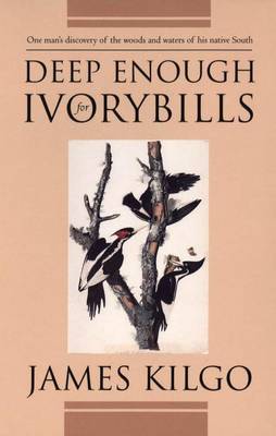 Cover of Deep Enough for Ivorybills