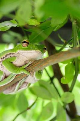 Book cover for Frog Resting High in a Tree Journal