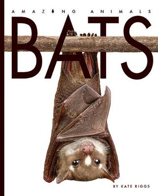 Book cover for Amazing Animals: Bats