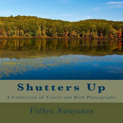 Cover of Shutters Up