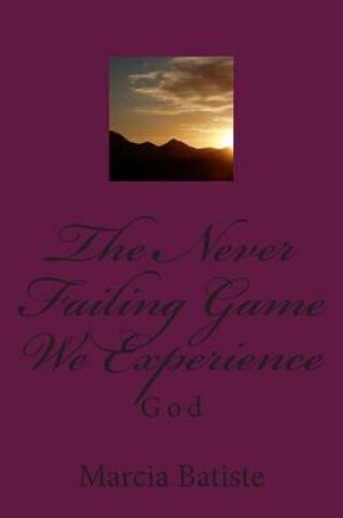 Cover of The Never Failing Game We Experience