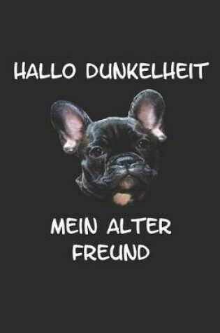 Cover of Hallo Dunkelheit mein alter Freund