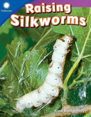 Cover of Raising Silkworms