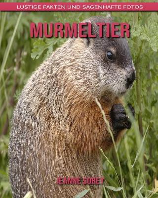 Book cover for Murmeltier