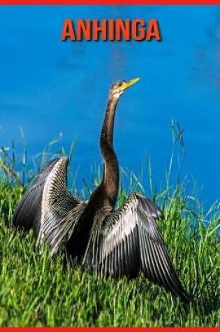 Cover of Anhinga