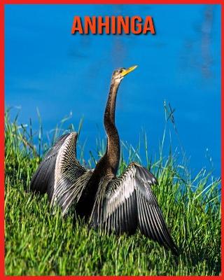 Book cover for Anhinga