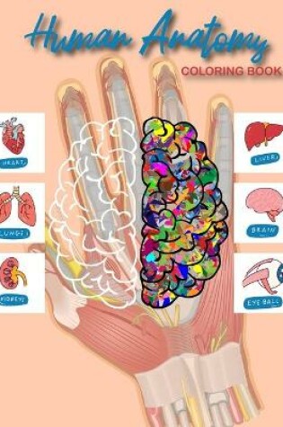 Cover of Human Anatomy Coloring Book