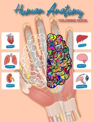 Book cover for Human Anatomy Coloring Book