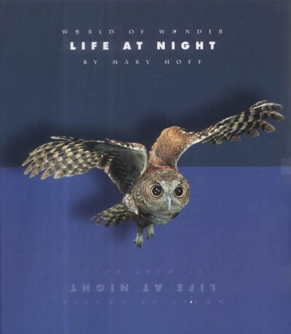 Book cover for Life at Night