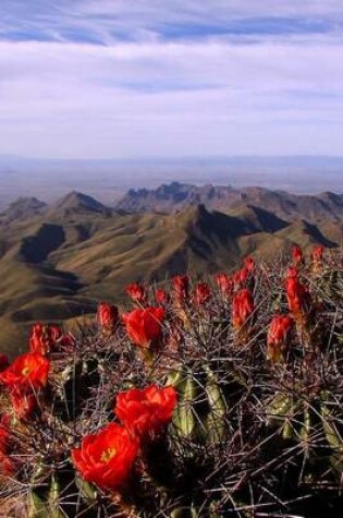 Cover of The South Rim Vista at Big Bend U S National Park in Texas