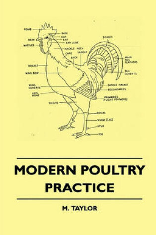 Cover of Modern Poultry Practice