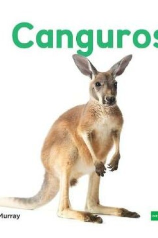 Cover of Canguros (Kangaroos) (Spanish Version)