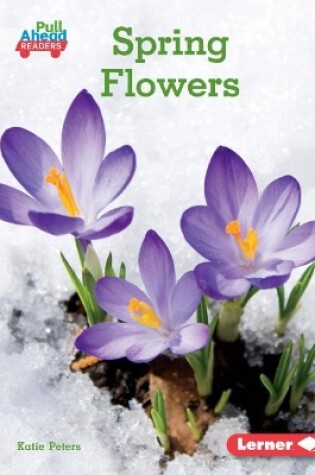 Cover of Spring Flowers