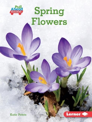 Book cover for Spring Flowers