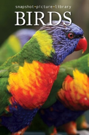 Cover of Birds