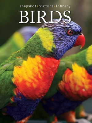 Cover of Birds