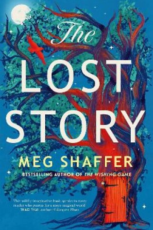 Cover of The Lost Story