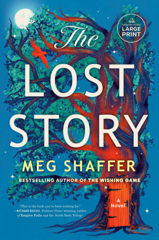 Book cover for The Lost Story