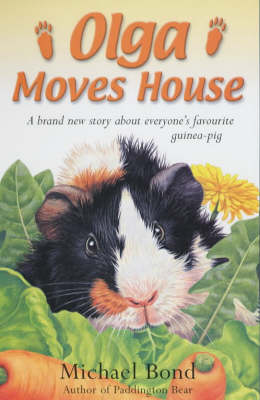 Book cover for Olga Moves House