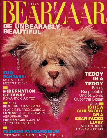 Book cover for Teddy's Bearzaar