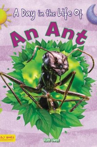 Cover of An Ant