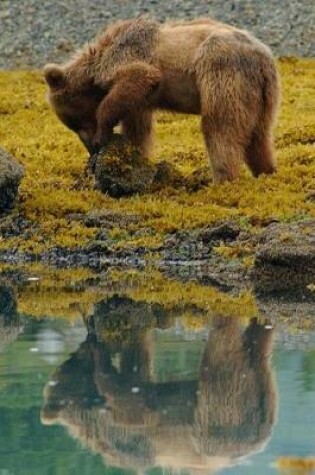 Cover of Brown Bear Foraging at the Lake Animal Journal