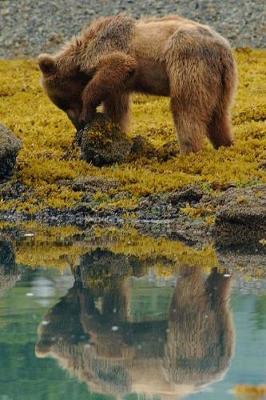 Book cover for Brown Bear Foraging at the Lake Animal Journal