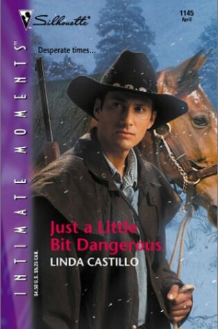 Cover of Just a Little Bit Dangerous