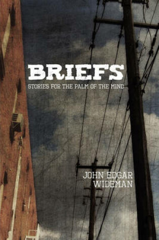 Cover of Briefs
