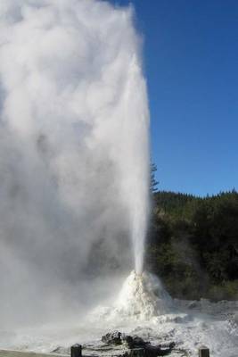 Book cover for Lady Knox Geyser in New Zealand