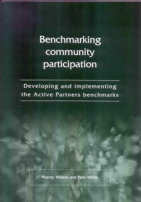 Book cover for Benchmarking Community Participation